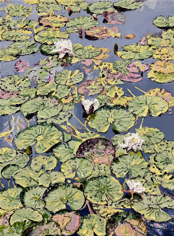 Katharina Gierlach - Nymphaea alba IV, 2024, Öl auf Leinwand