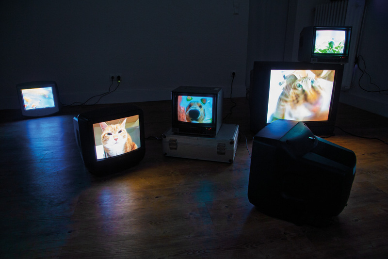 Blick in die Ausstellung