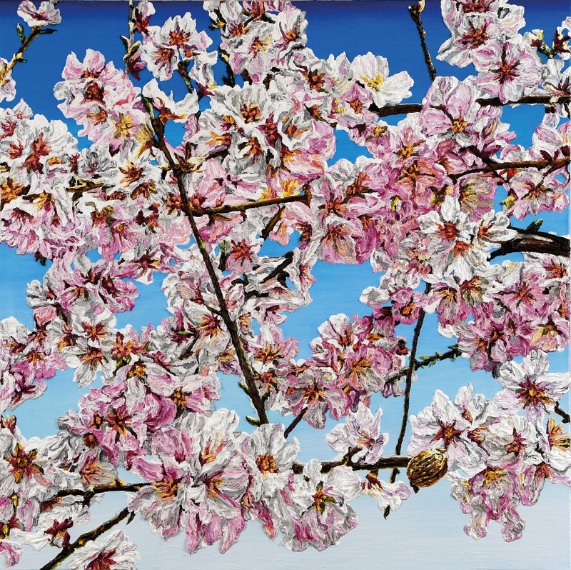 Katharina Gierlach - Mandelblüte, 2025, Öl auf Leinwand