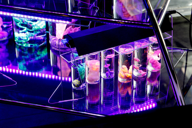 Blick in die Ausstellung