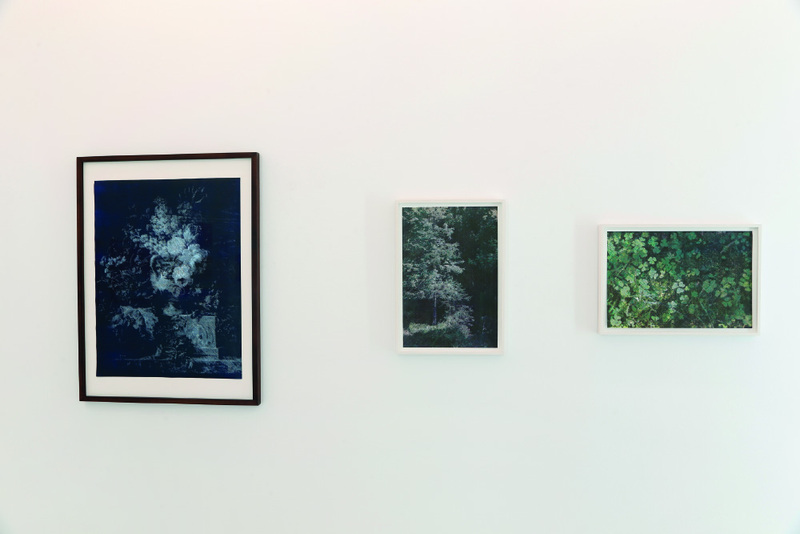 Blick in die Ausstellung