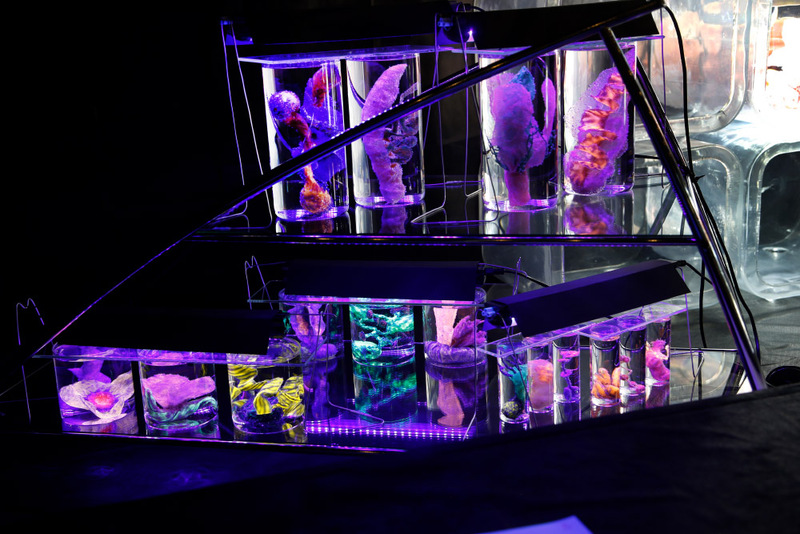 Blick in die Ausstellung