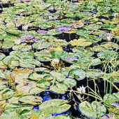 Katharina Gierlach - Am Scheerbach I, 2025, Oil on canvas