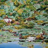 Katharina Gierlach - Cesky Krumlov II