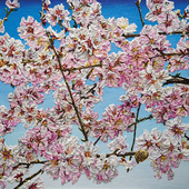 Blick in die Ausstellung