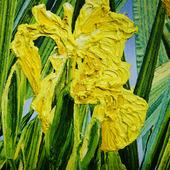 Katharina Gierlach - Sumpfschwertlilie Iris pseudacorus III, 2022, Oil on canvas