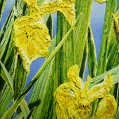 Katharina Gierlach - Sumpfschwertlilie Iris pseudacorus IV, 2022, Oil on canvas