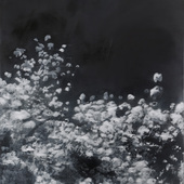 JKB Fletcher - Blossom, 2025, Öl auf Leinwand