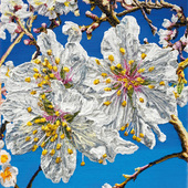 Katharina Gierlach - Mandelblüte IV, 2025, Öl auf Leinwand
