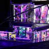 Blick in die Ausstellung