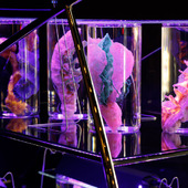 Blick in die Ausstellung