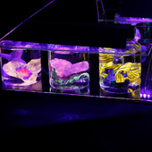 Blick in die Ausstellung