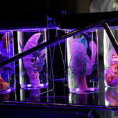 Blick in die Ausstellung