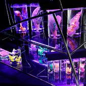 Blick in die Ausstellung