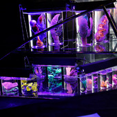 Blick in die Ausstellung